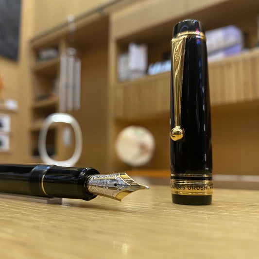 Fountain pen pilot Custom 845